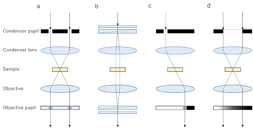 Arranjo óptico de vários métodos de visualização de fase