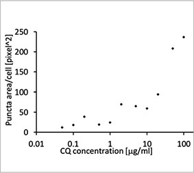 Figura 1 C: O aumento da área de puncta por célula representada graficamente com o aumento da concentração de CQ.