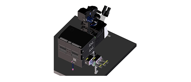 Ports supplémentaires pour l’intégration de laser externe (laser VIS/IR/NIR)