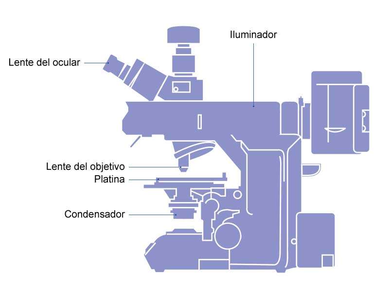 Ennegrecer enchufe Entretener Componentes de microscopio originales para integración (OEM) | Olympus LS
