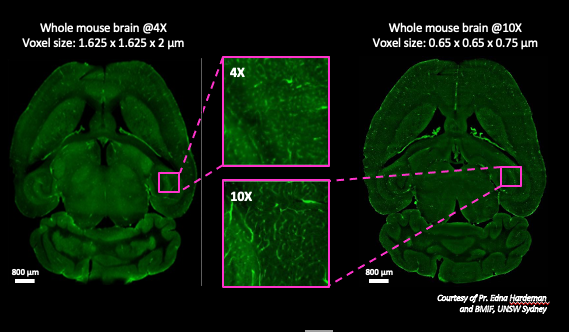 Automated Multi-Scale Imaging