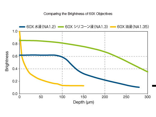 Comparing the Brightness of 60X Objectives