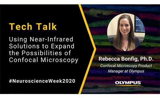Tech Talk: Using Near-Infrared Solutions to Expand the Possibilities of Confocal Microscopy