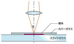 図3 乾燥系対物レンズの開口数