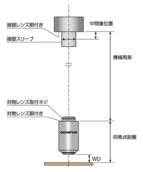 図2 機械筒長（有限補正光学系）