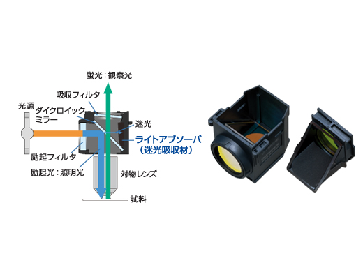 高S/N比(Signal-to-Noise Ratio)、ライトアブゾーバー搭載の蛍光ミラーユニット