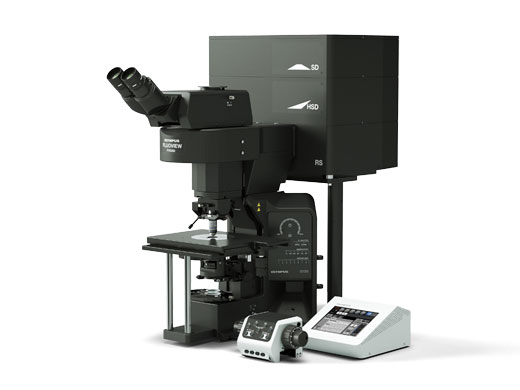 Microscópio vertical (configurado para eletrofisiologia)