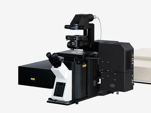 FVMPE-RS | 多光子励起レーザー走査型顕微鏡 | オリンパス ライフ 