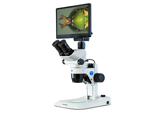 SZ61 | Compact Stereo Microscopes | Olympus LS