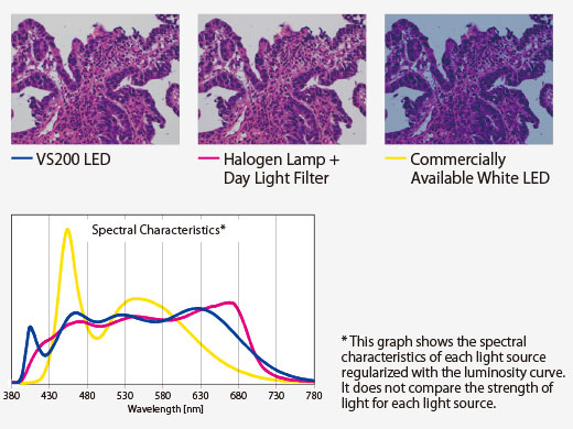 Bright LED Lighting Optimized for Pathology and Cytology