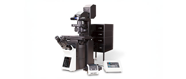 共焦点レーザー走査型顕微鏡「FLUOVIEW FV4000」