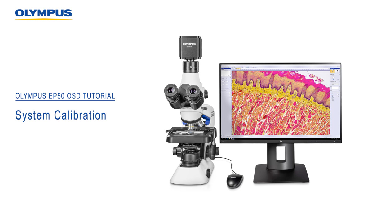 顕微鏡用カメラの校正方法：精度の高い測定はここから始まる | オリンパス ライフサイエンス