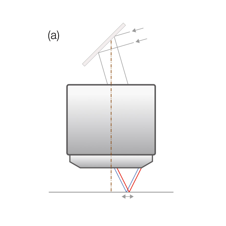 Figure 3 (a)