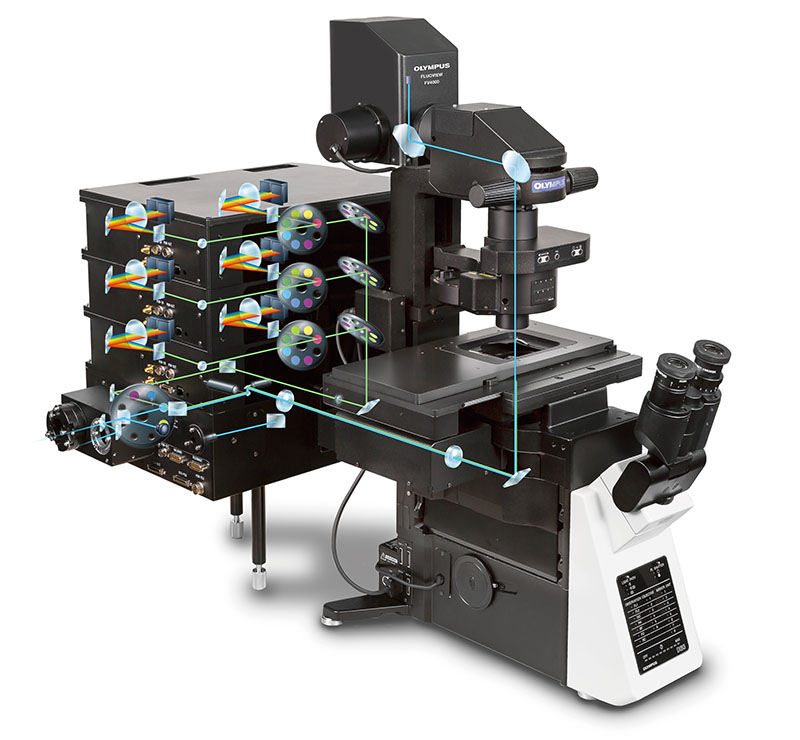 The FV4000 confocal microscope’s light path.