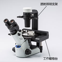 图2.用于细胞培养的倒置显微镜