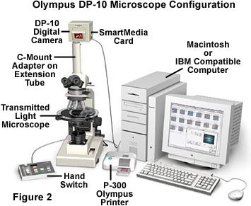 Digital Imaging in Optical Microscopy - Olympus DP-10 Digital