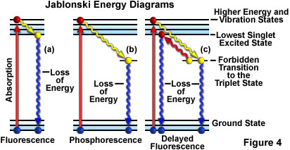雅布隆斯基能量图显示荧光、磷光和延迟荧光活性