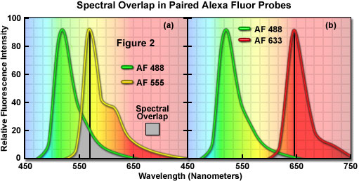 Alexa Fluor Color Chart