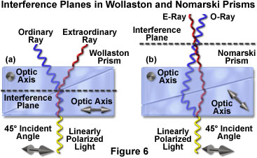 Differential Interference Contrast - Fundamental Concepts | Olympus LS