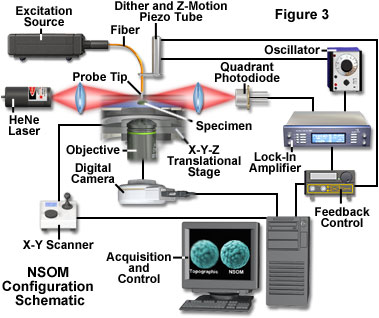 Near-Field Scanning Optical Microscopy - Introduction | 奥林巴斯生物显微镜