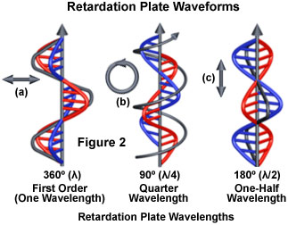 Polarized Light Microscopy - Introduction to Compensators and