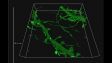 SpinSR10: 뉴런의 3D 타임 랩스