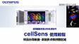 cellSens采集 多点拼图-02添加多点和拼图区域