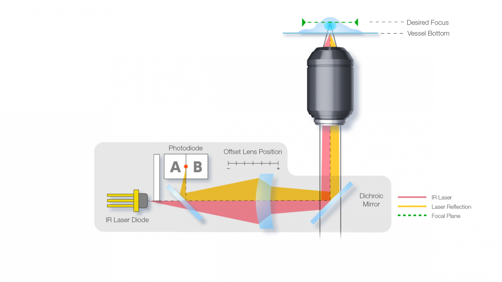 Autoenfoque por instrumentación de láser infrarrojo (IR) basado en IX83 ZDC