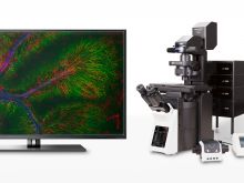 Behind the Scenes: Developing the FLUOVIEW™ FV4000 Confocal Microscope