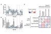 2.da parte — Comparación de líneas celulares humanas iPS con el sistema de monitorización de incubación CM20: Variaciones en la eficiencia de la diferenciación de organoides hepáticos derivados de células iPS