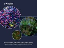 Advance Your Neuroscience Research