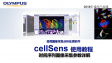 cellSens采集 流程管理05-时间序列图像采集-时间参数详解