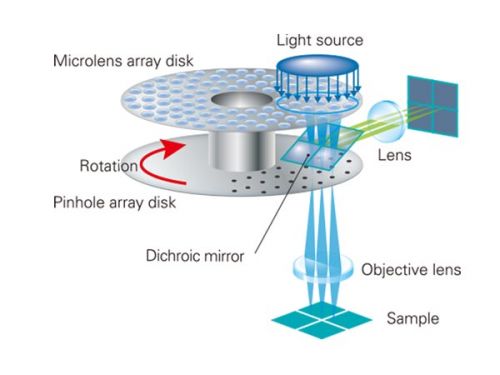 Laser Scanning vs. Spinning Disk