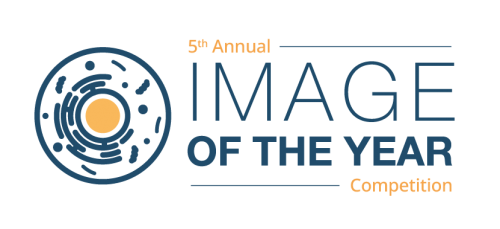 Image of the Year Logo