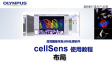 cellSens 사용 전-레이아웃