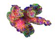 Análisis 3D de orgánulos tumorales derivados de paciente