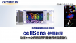 cellSens 분석-강도 프로파일 및 동적 ROI를 사용하여 타임 랩스 강도 측정