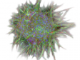 荧光图像分析——胶原凝胶中的3D微球浸润