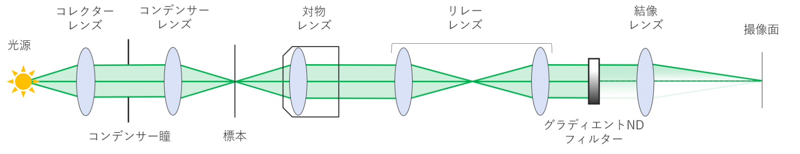 グラディエントコントラスト法を実現する光学構成