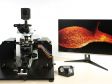 단면광 현미경이 생명 과학 연구를 발전시키는 5가지 방법