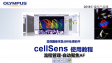 cellSens 획득-프로세스 매니저06-자동 초점