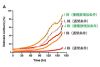 CM20を用いたヒトiPS細胞株間の比較解析 第三弾：iPS細胞間で見られる肝臓オルガノイドへの分化誘導効率のバラつきについて