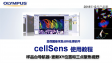 cellSens采集 多点拼图-03更新XY位置和三点聚焦视野