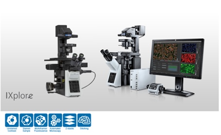 Sistemas de microscópio IXplore da Evident
